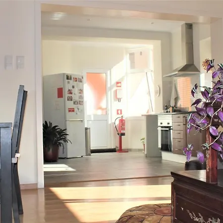 Olivia House Appartement *